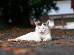 俺ってイケテル。
