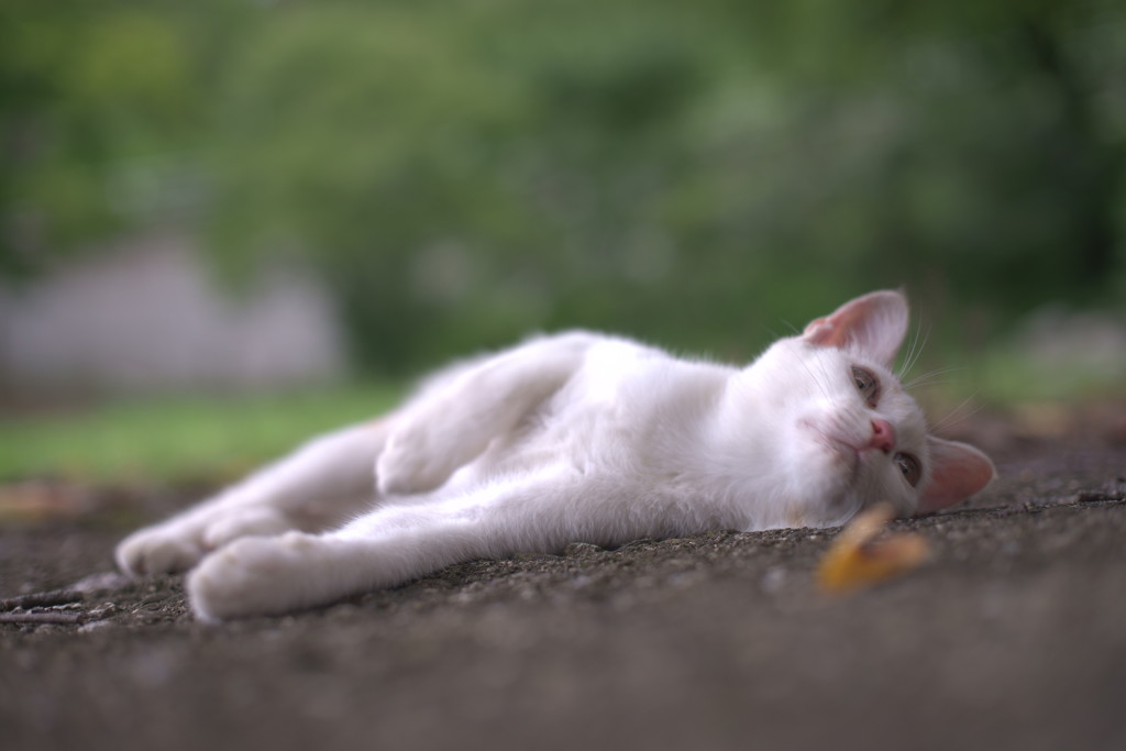 何が見えるの
