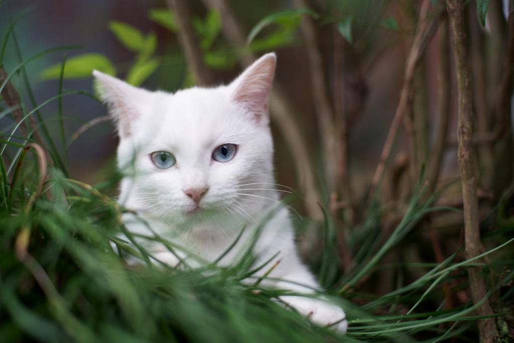 今日はなんだか