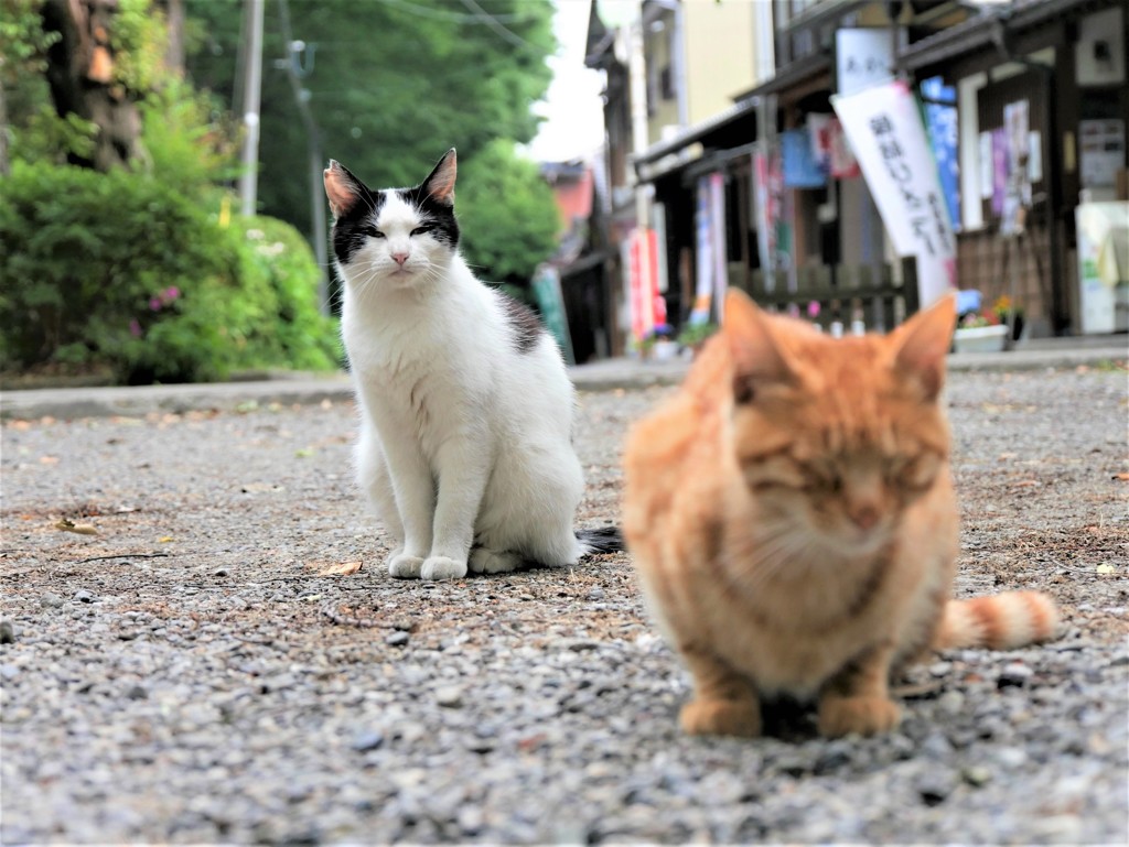 別れてくれないか。