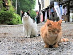 別れてくれないか。