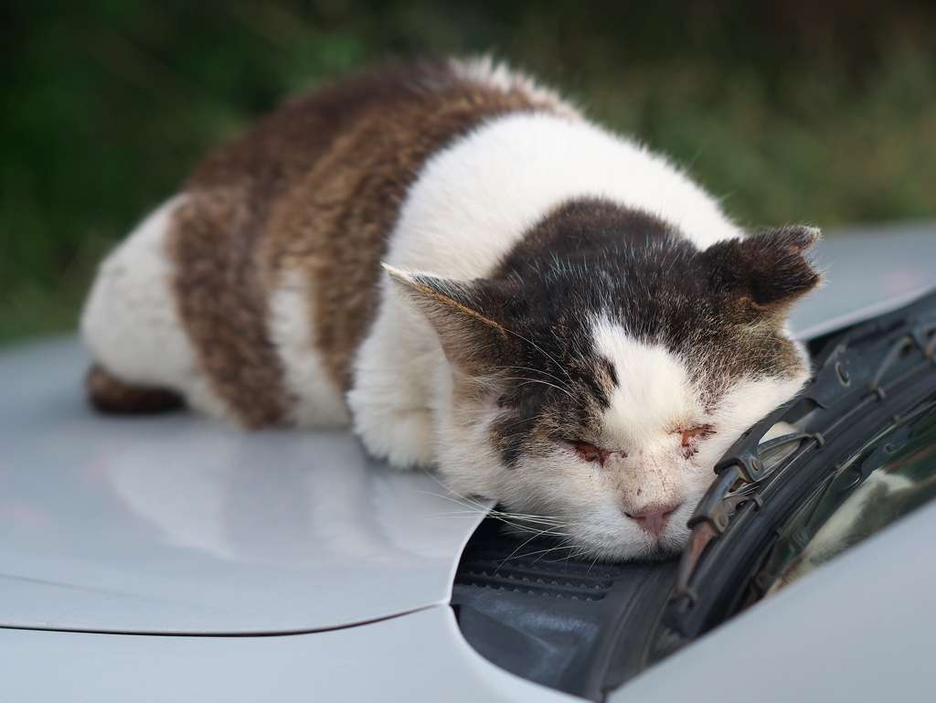 錆びたワイパー