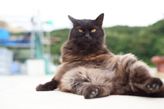 くうねるあそぶ