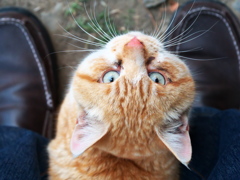 つつみ込むように