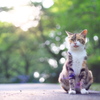 べーっ！