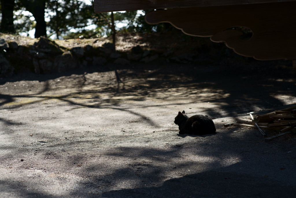 立体感のある影