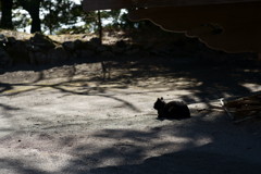 立体感のある影