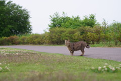 ひとりきり