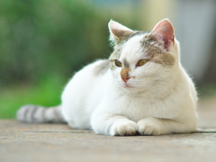 たたずむ