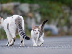 小回りくん！