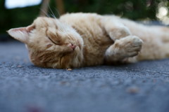 メートル上がっちゃて