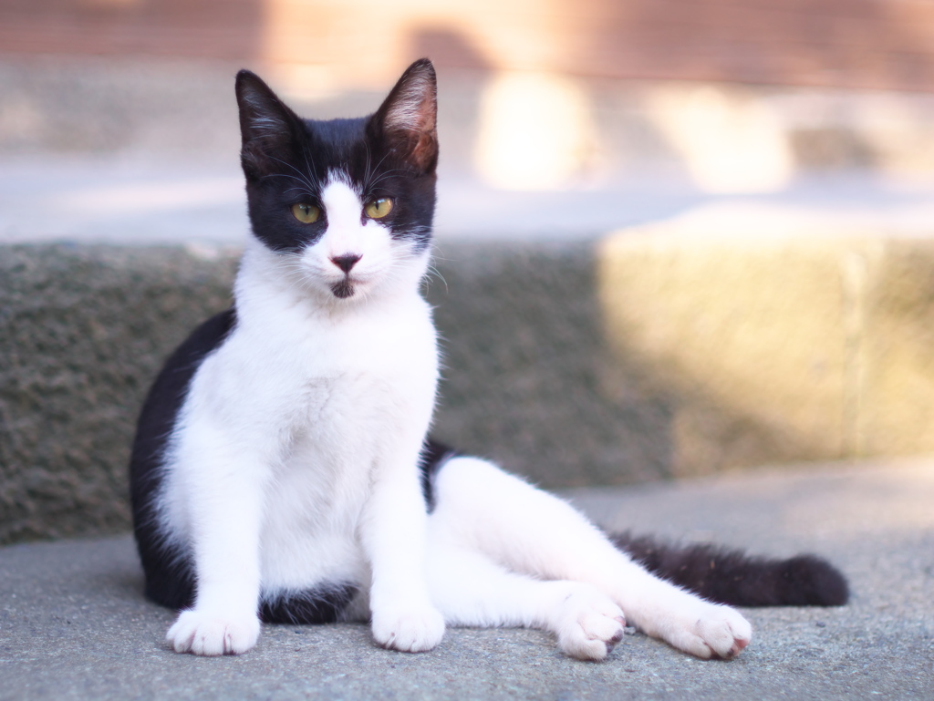 おひまなら来てね