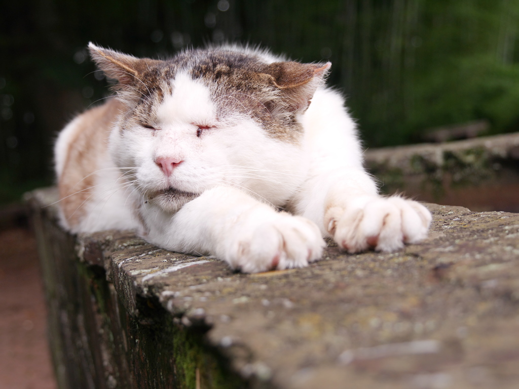 右旋回します。