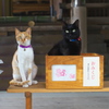 えっほんと！