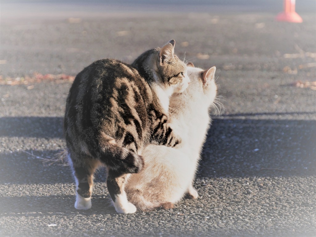 もう待てないよ！