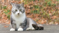 ちょっとおすまし。