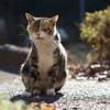 背中あたたかい