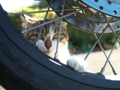若い整備士さん