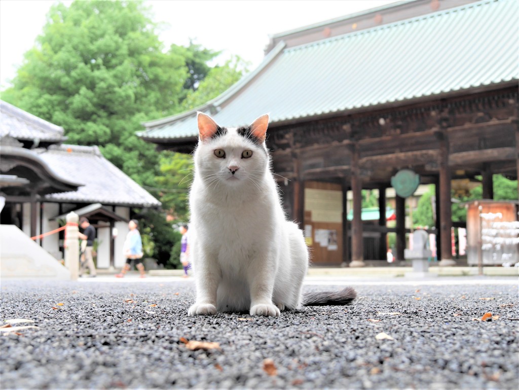 おのれ～何撮ってるんじゃい。