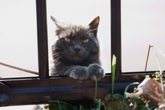 やんちゃ坊主