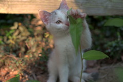 いいこ、いいこ。