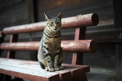 べんちで一人