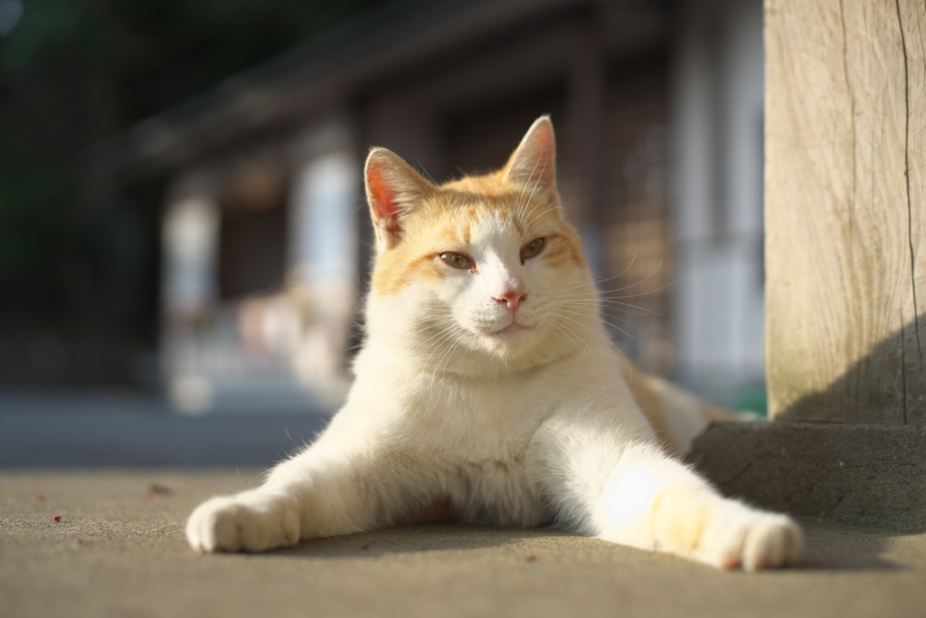男前に撮ってね。