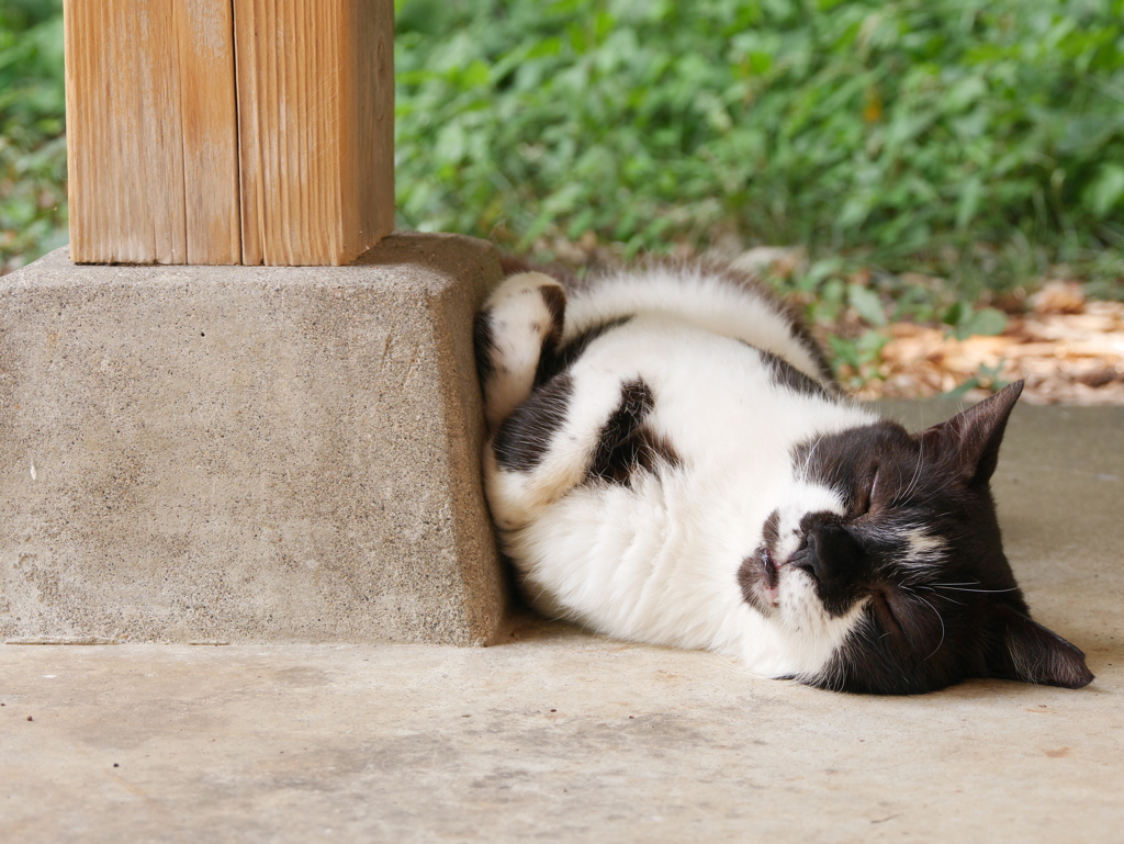 グッドアイデア