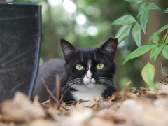 俺のが黒いね。