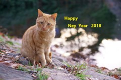 Happy Ney Year