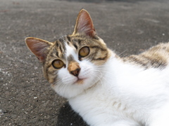 今日は僕のもの