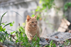 顔汚れているよ