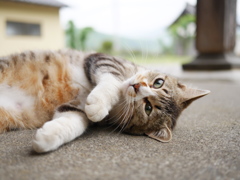 こんなになっちゃった