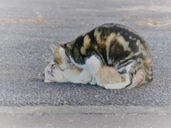 なぁ良いだろう。