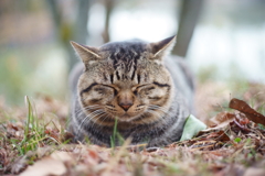 じわじわ