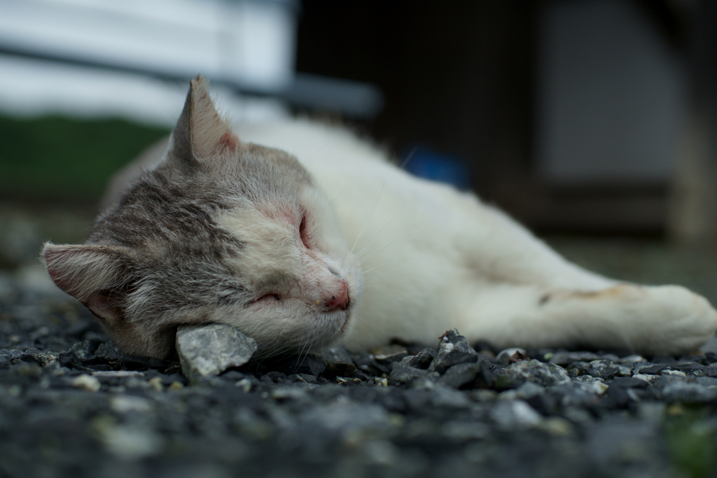 安眠枕