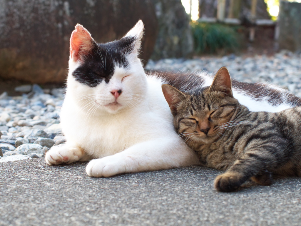 ずっと２人で…