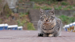 何かおもちですか？