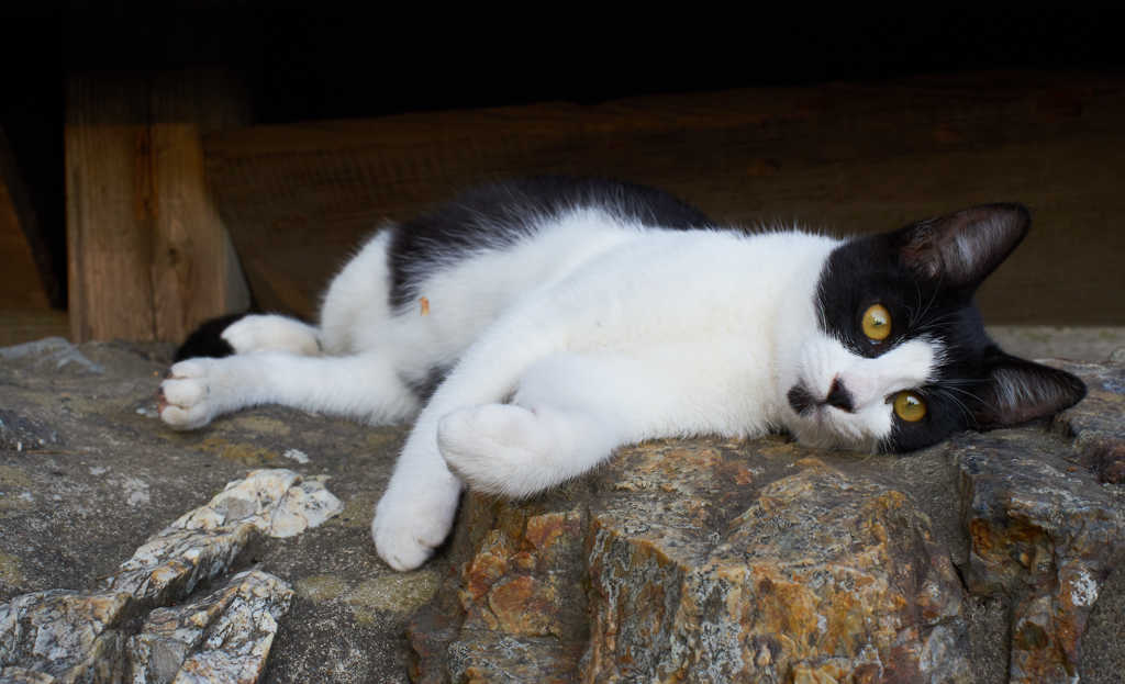 一日の終わりに