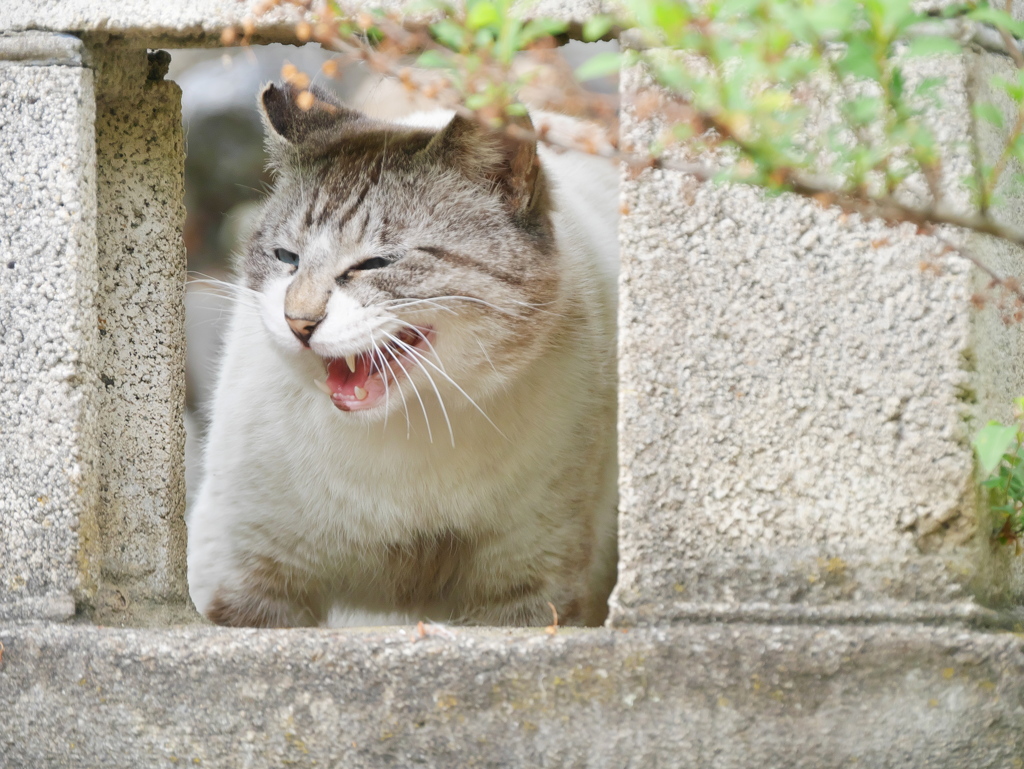 じゃあまた来ます