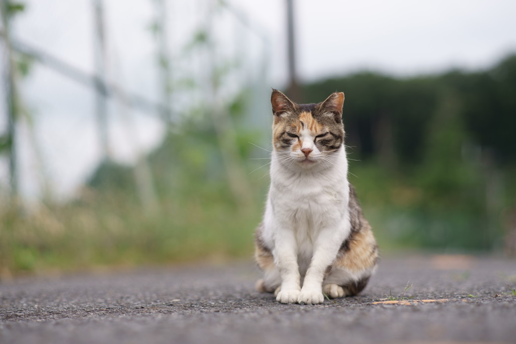 駐車場で待つてます