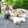 さぁ！右手を出して