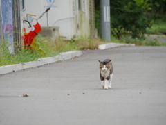 見送りでごんす