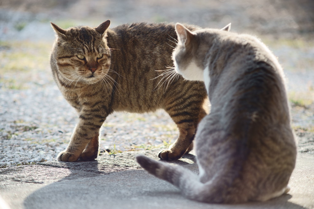 おっオマエ！
