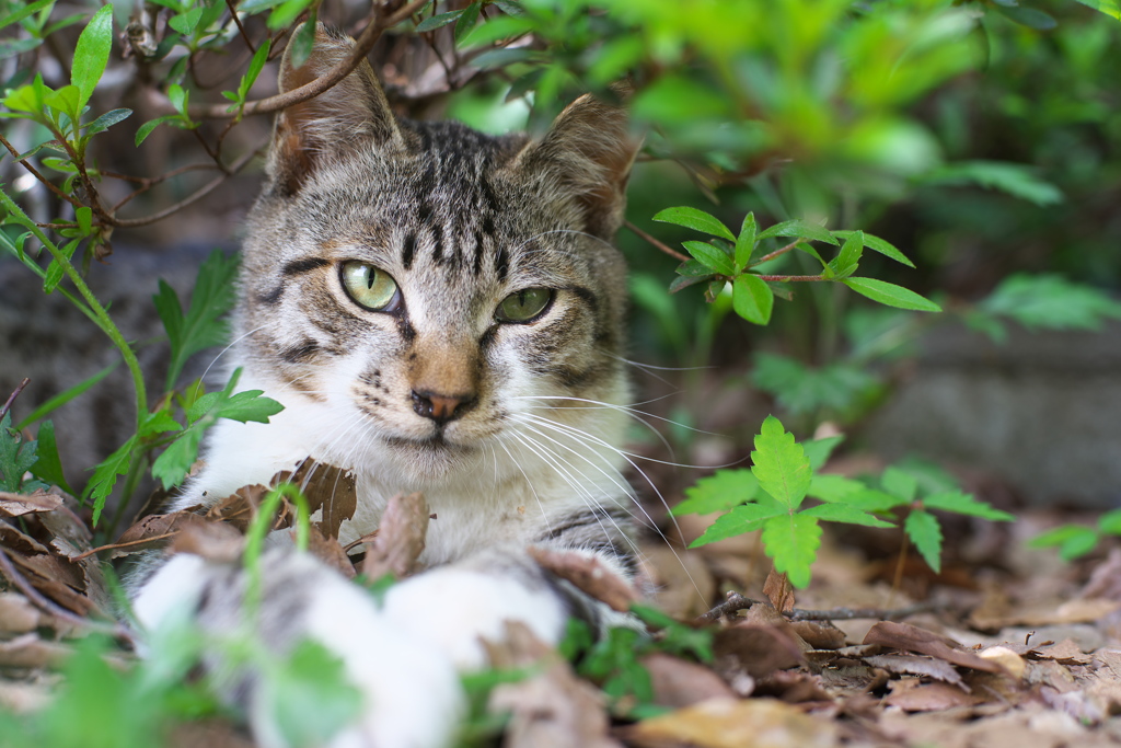 本日の営業は終了しました