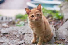 魂抜かれますか？