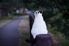 季節外れの雪ニャルマ