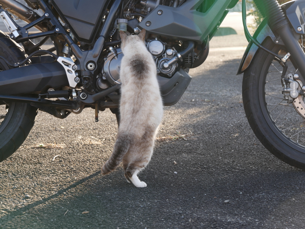 お客さん何か漏れてます。