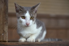 ちょっと