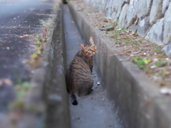 またね